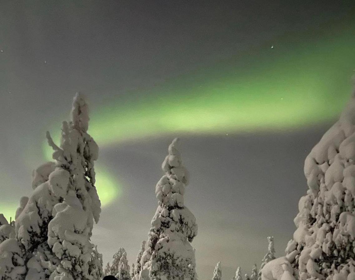 Sofia Rovaniemi City Apartment מראה חיצוני תמונה