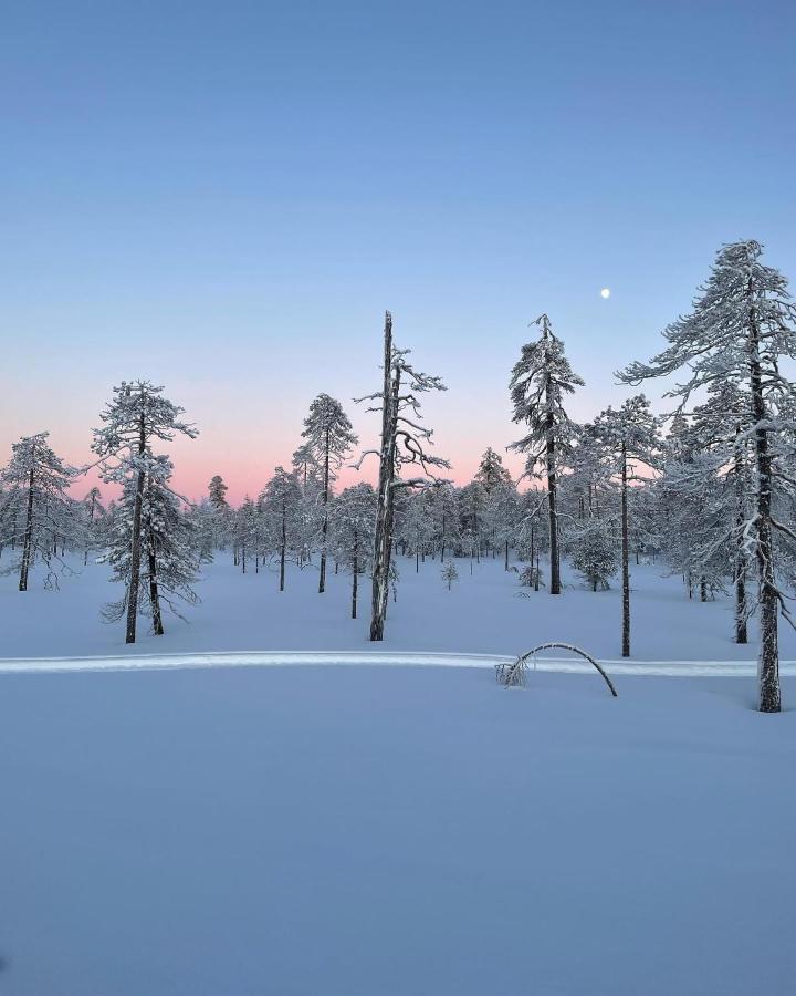 Sofia Rovaniemi City Apartment מראה חיצוני תמונה